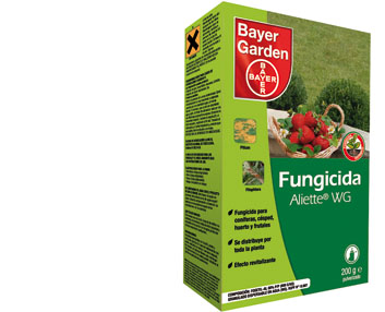 Un fungicida sistémico contra la Phytophthora